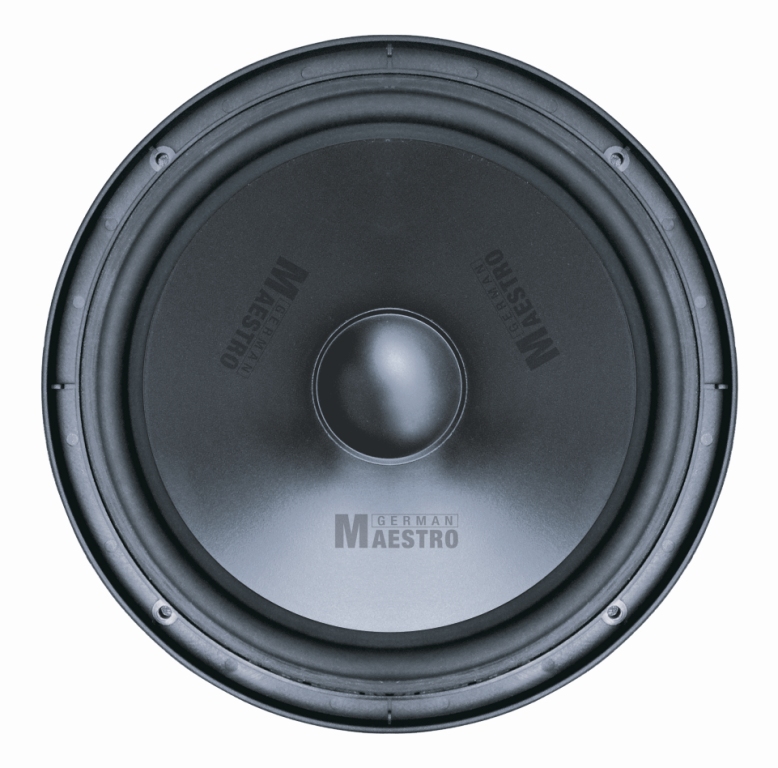 German Maestro SW 8009 subwoofer (200 mm).