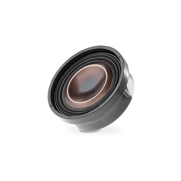 Focal TAM tweeter.