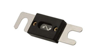 ANL fuse (100 A).