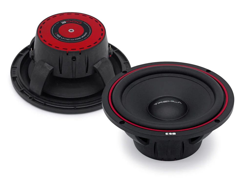 ESB 3.165 bass/midrange speaker (165 mm).